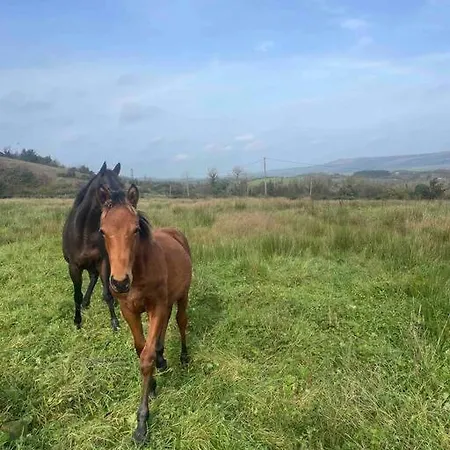 With Hot Tub - بيت للعطل بويل